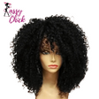 16 Inch Afro Kinky Curly With Bangs Hair Wigs Sassy Chick Logo