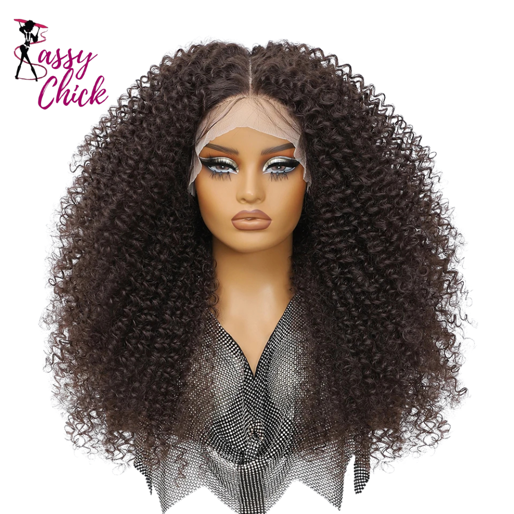 Afro Kinky Curly Lace Synthetic Wigs Sassy Chick Logo
