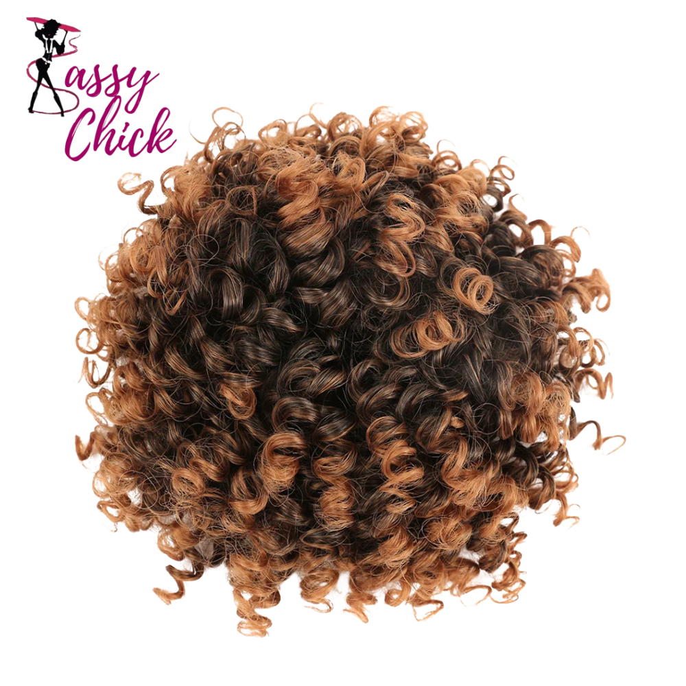 Afro Puff Curly Hair Buns Ponytail Synthetic Wig Sassy Chick Logo