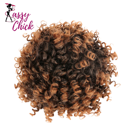 Afro Puff Curly Hair Buns Ponytail Synthetic Wig Sassy Chick Logo