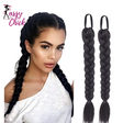 Braided Ponytail Hair Extension Sassy Chick Logo