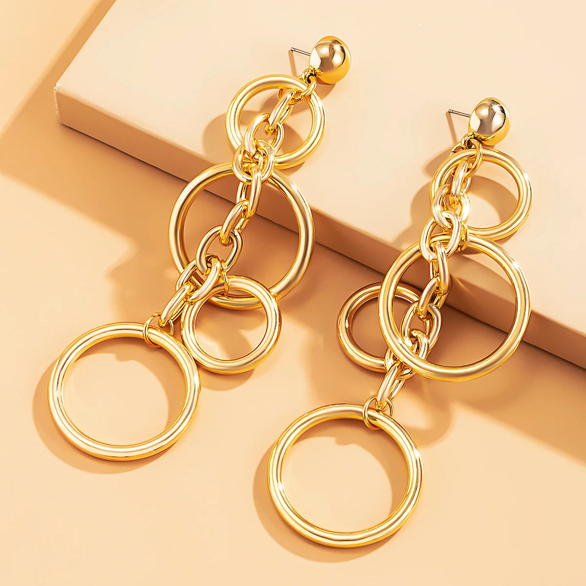 Punk Long Circle Drop Earring