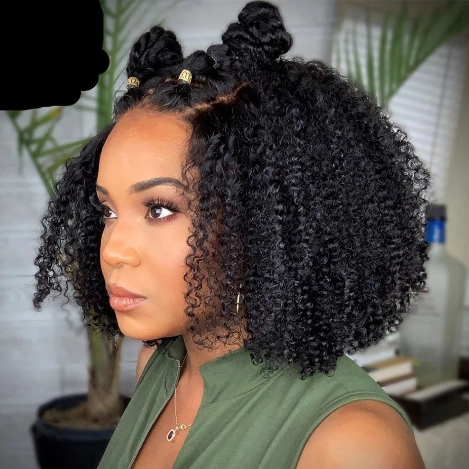 Kinky Curly Human Hair Wig