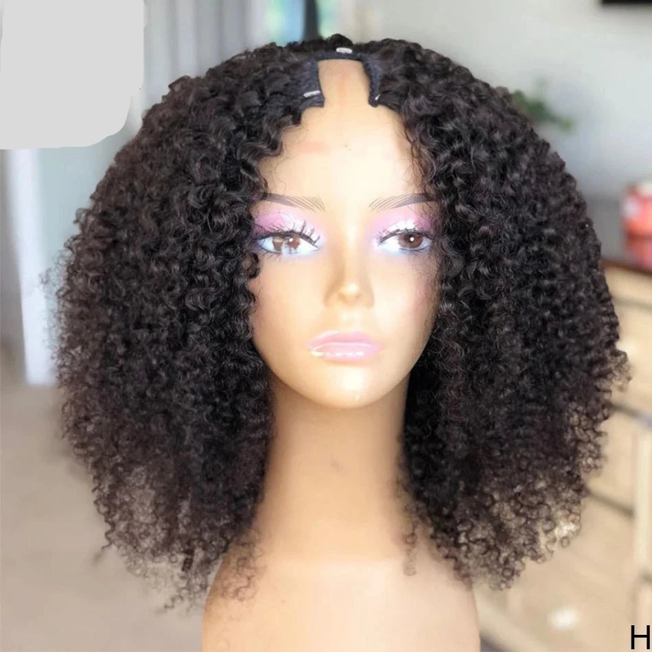 Kinky Curly Human Hair Wig