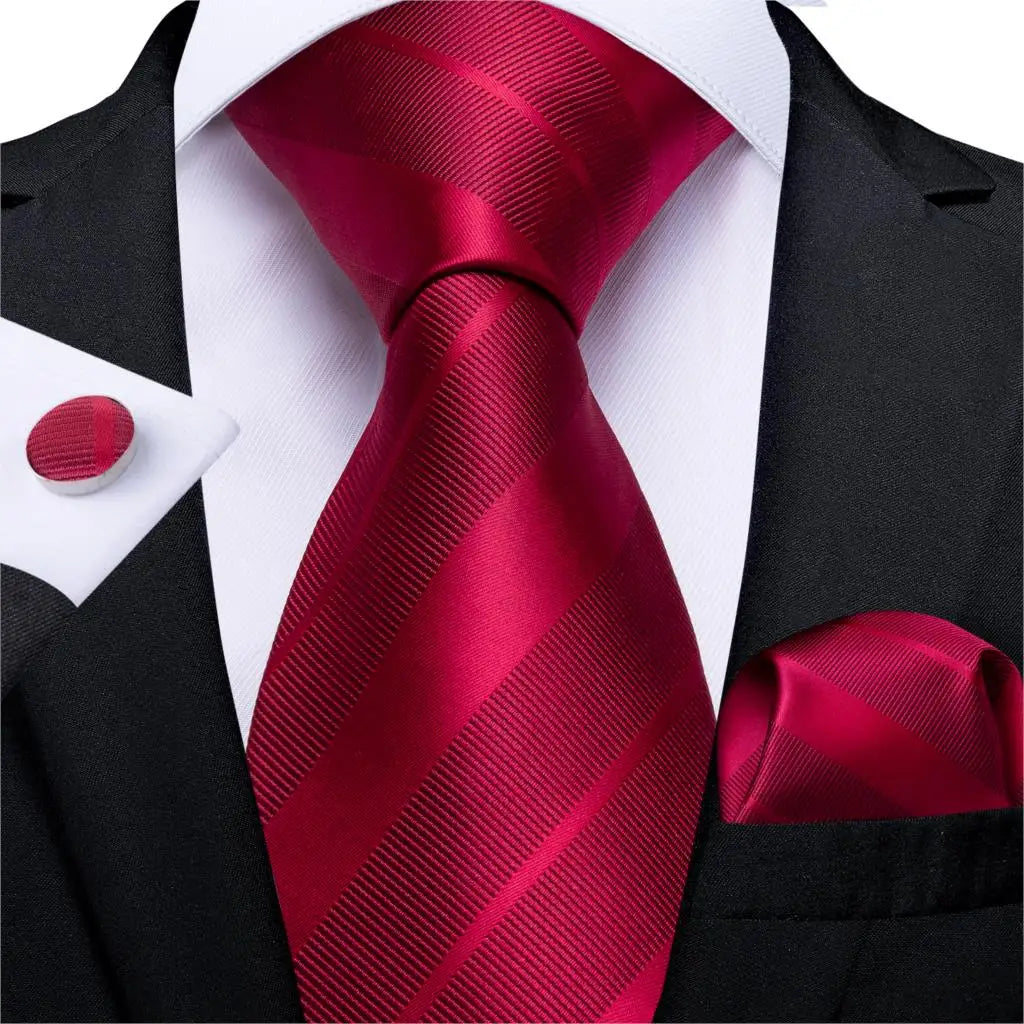 Solid Striped Paisley Neckties For Men