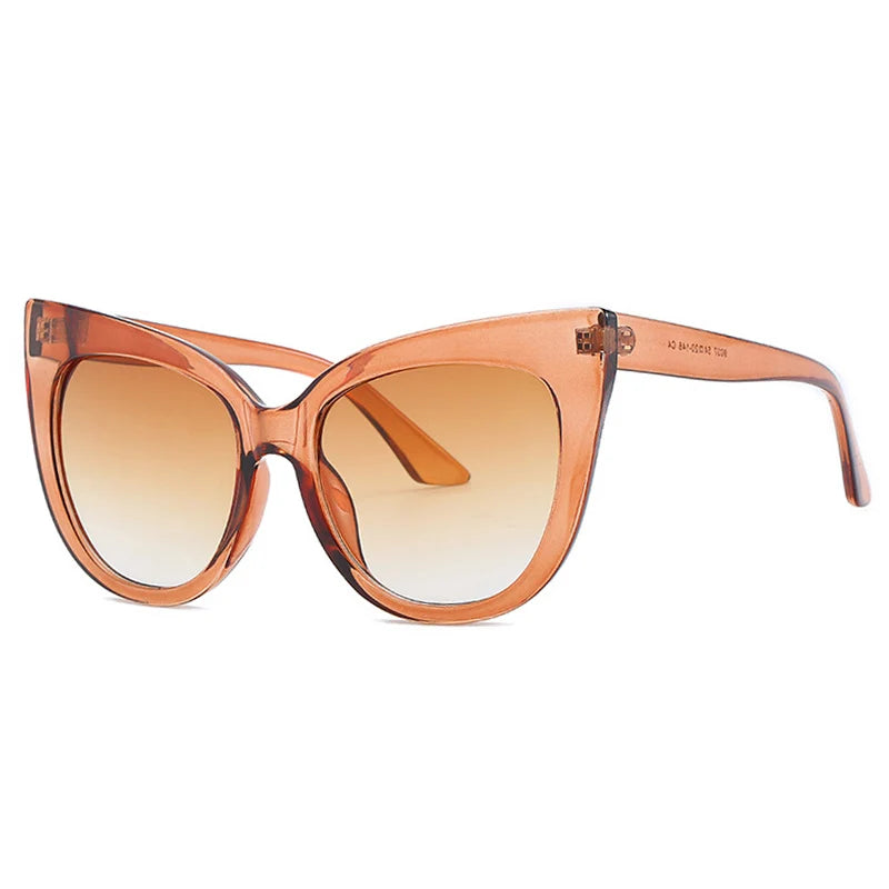 transparent brown frame, gradient brown lens sunglasses