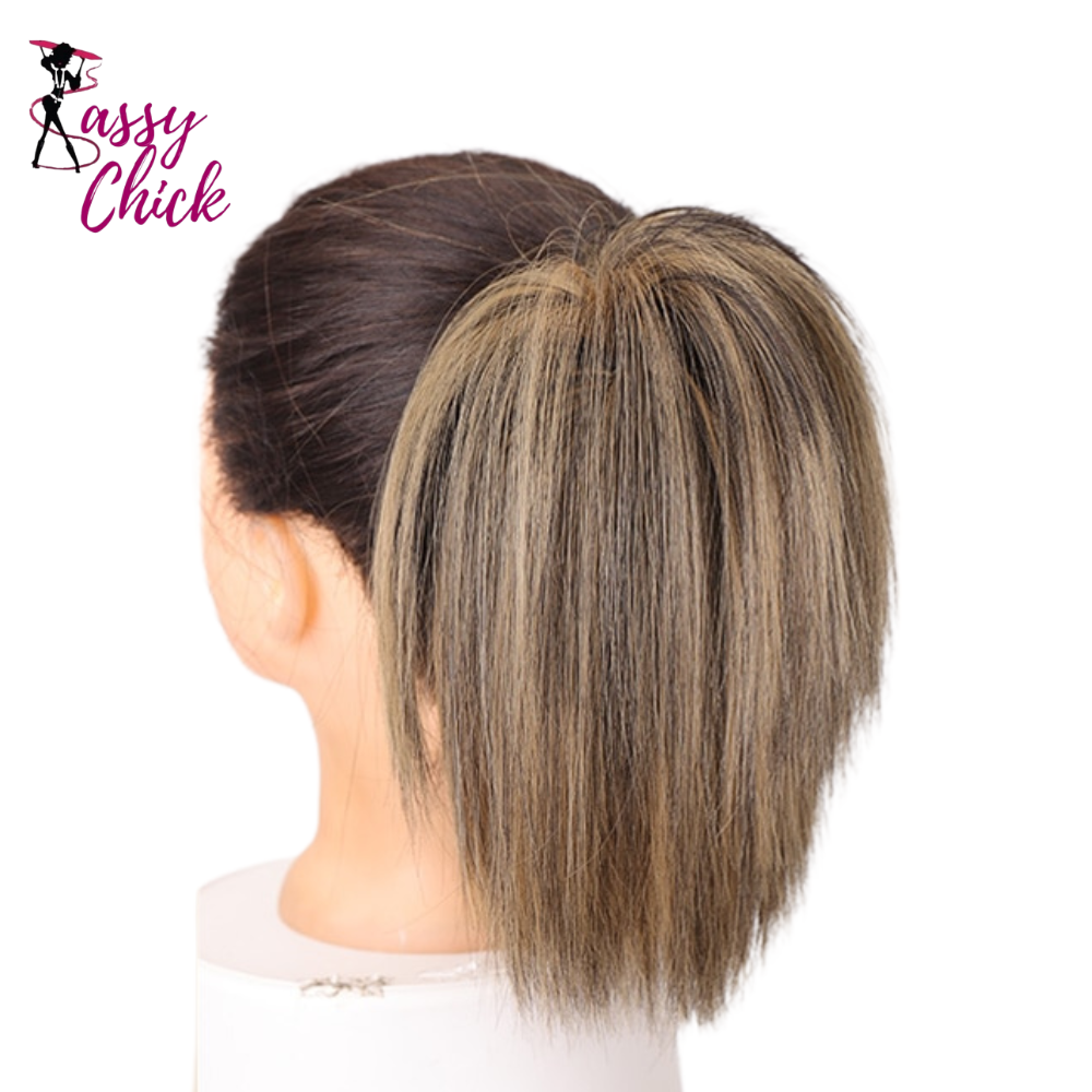 Straight Hair Bun Extension Sassy Chick Logo