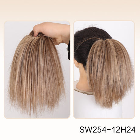 Ash Blonde Straight Hair Bun Extension