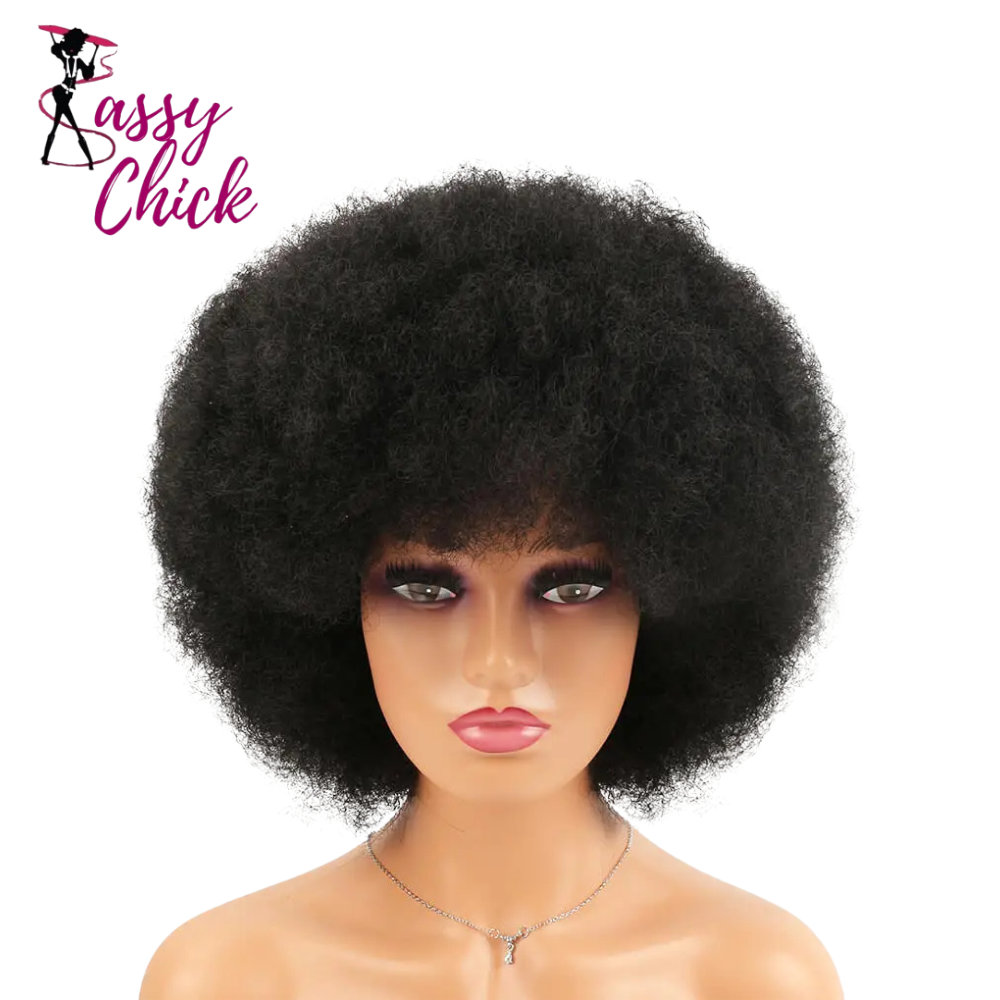Synthetic Big Afro Kinky Curly Wig With Bang Sassy Chick Logo