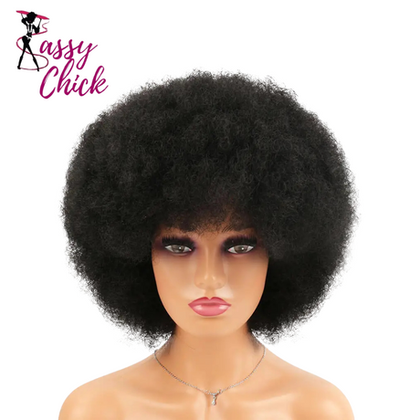 Synthetic Big Afro Kinky Curly Wig With Bang Sassy Chick Logo