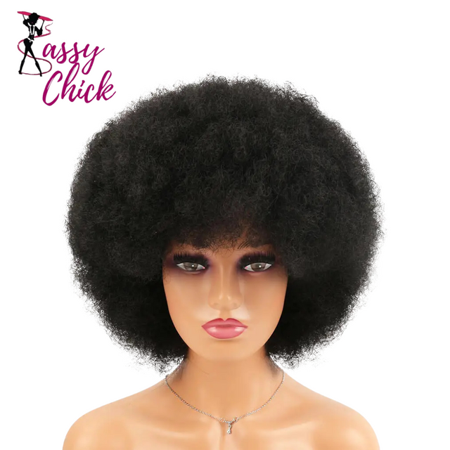 Synthetic Big Afro Kinky Curly Wig With Bang Sassy Chick Logo