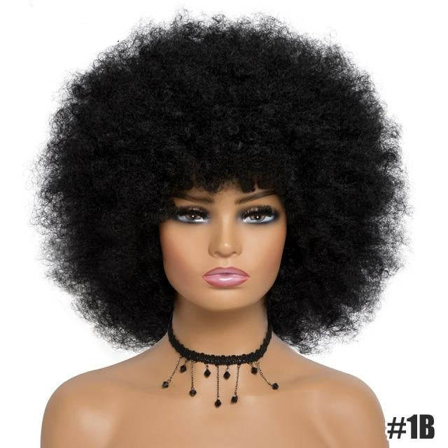 Black Afro Kinky Curly Wig