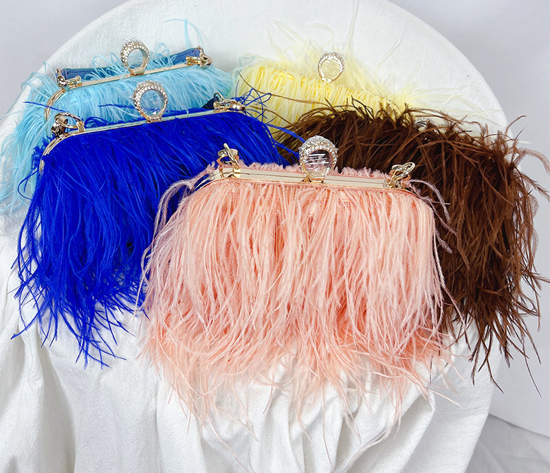 Collection of Ostrich Feather Clutch