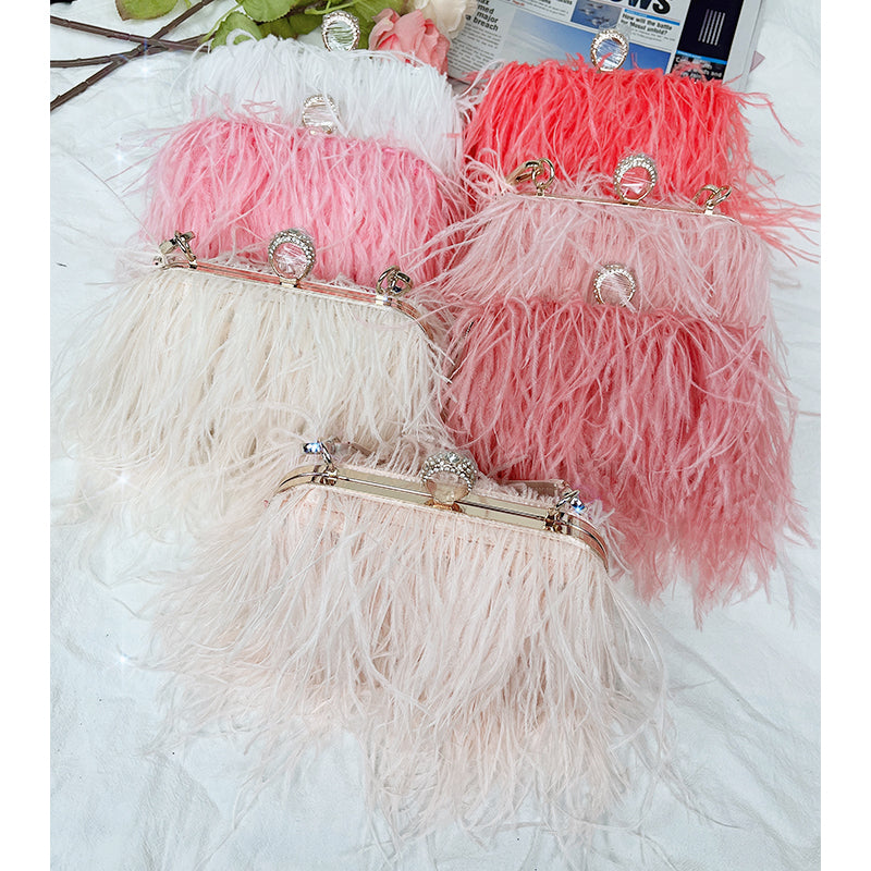 Collection of Ostrich Feather Clutch