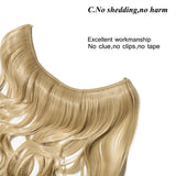 description 