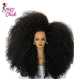 Afro Kinky Curly 360/13×6/13×4 HD Transparent Lace Human Hair Wigs Sassy Chick Logo