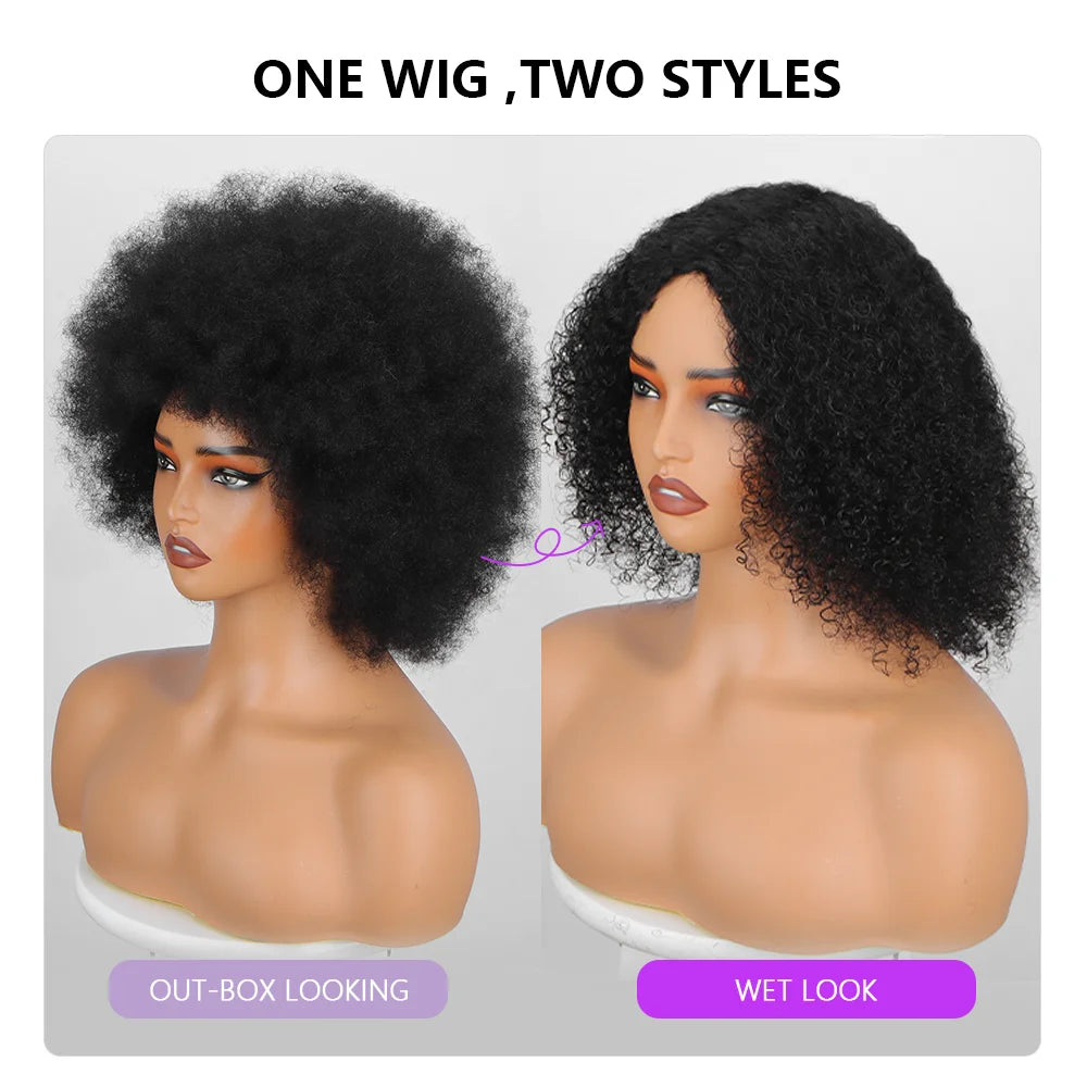 Afro Kinky Curly Remy Fluffy Human Hair Wig