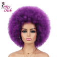 Afro Short Curly Kinky for Black Women Synthetic Wigs Sassy Chick Logo