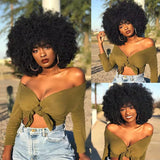 Model Using Afro Short Curly Kinky for Black Women Synthetic Wigs