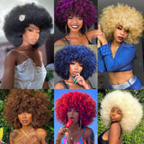 Collection of Afro Short Curly Kinky for Black Women Synthetic Wigs