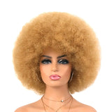 Brown Afro Short Curly Kinky for Black Women Synthetic Wigs