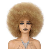 Brown Afro Short Curly Kinky for Black Women Synthetic Wigs