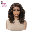 Black Brown Highlights Natural Lace Short Wavy Front Synthetic Hair Wigs Sassy Chick Logo