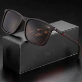 Brown Black Classic Square Men's Sunglasses