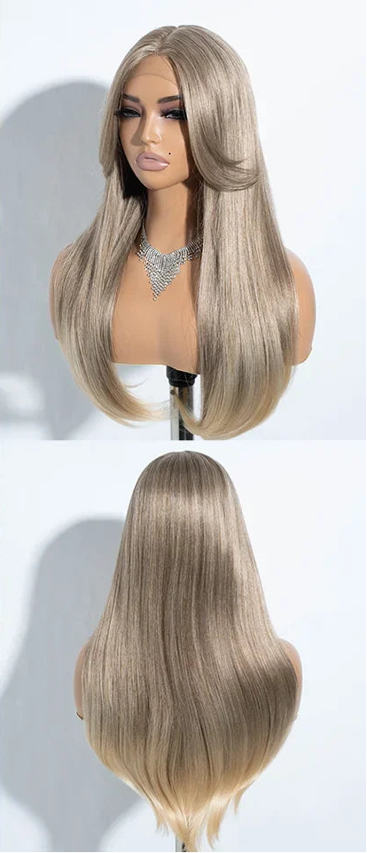 Gray Highlight 24 Inches Straight Synthetic Lace Front Wigs