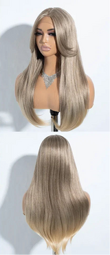 Gray Highlight 24 Inches Straight Synthetic Lace Front Wigs