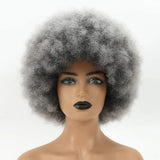 Gray Bouncy and Soft Afro Puff Synthetic Wig for Women
