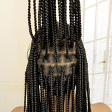 Braided Wig with Baby Hair black back