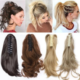collection of ponytail hairpiece 