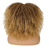 Curly Wigs Afro with Bangs Fiber Synthetic