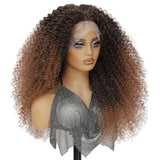 Fluffy 13x5x1.5 Long Ombre Kinky Curly Synthetic Lace Wig