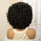 Full Lace Afro Braided Wig back black