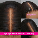 HD Lace Wig 5x5 6x6 7x7 Human Hair Wig