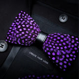Purple Exquisite Handmade Fashion Feather Bowtie
