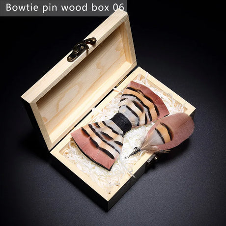 Brown Handmade Colorful Brooch Feather Bowtie