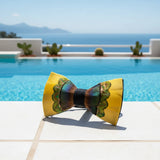 Handmade Colorful Brooch Feather Bowtie