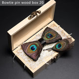 Brown Handmade Colorful Brooch Feather Bowtie