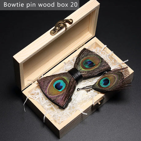 Brown Handmade Colorful Brooch Feather Bowtie