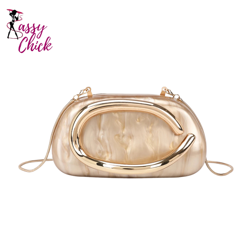 Luxury Acrylic Box Metal Details Evening Purse Sassy Chick Logo