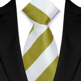  Luxury White Gold  Color Floral Paisley Men's Ties
