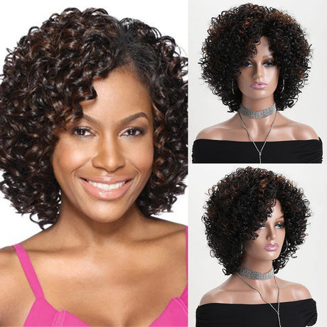 Natural Short Curly Black Hair Heat Resistant Synthetic Wigs