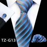 blue line dot pattern tie set