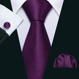 Purple Paisley Gravata Handkerchief Silk Ties