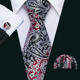 Silver Paisley Gravata Handkerchief Silk Ties