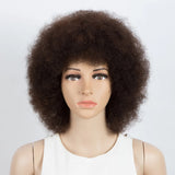 Afro Brazilian Human Hair Wig