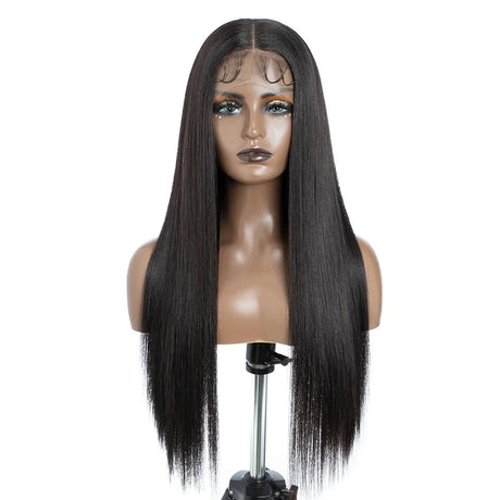 Ombre Synthetic Hair Wig